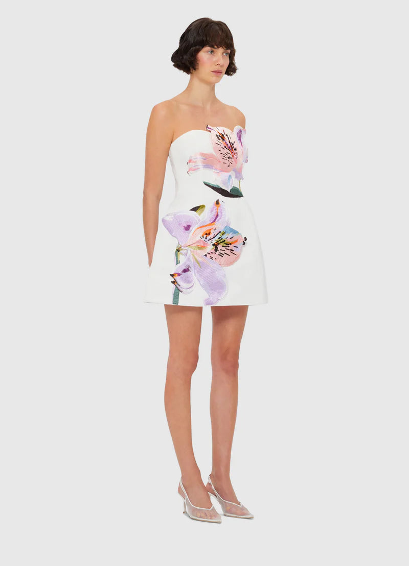 Floral Bustier Mini Dress