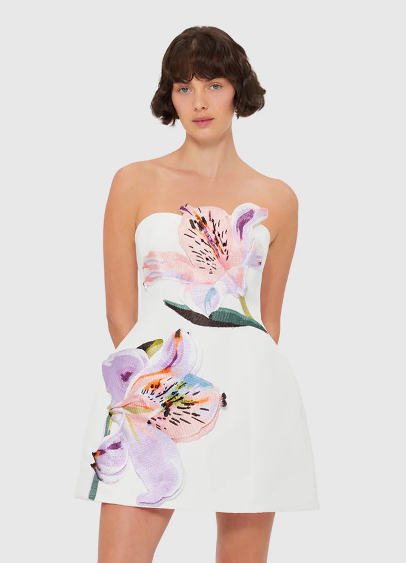 Floral Bustier Mini Dress
